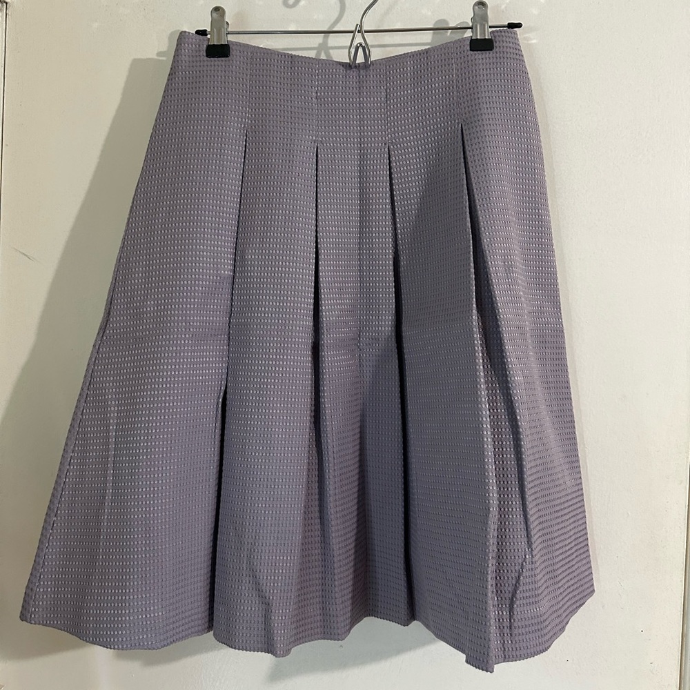 Ann Taylor skirt